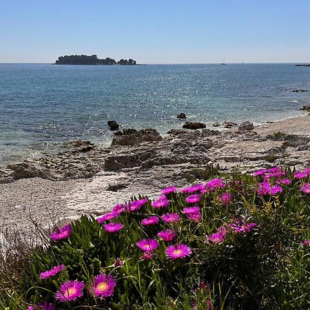 Villa Anthony Rovinj Luaran gambar