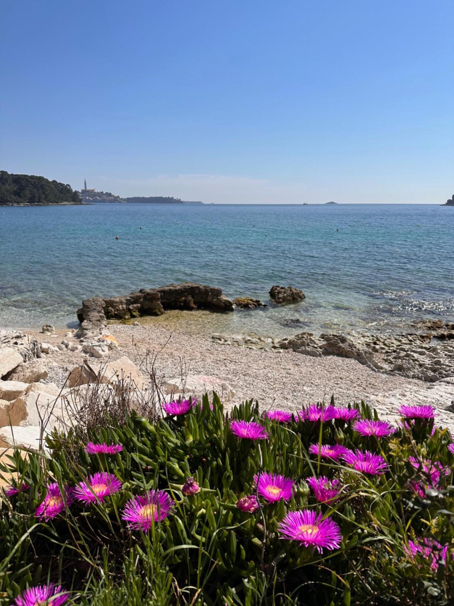 Villa Anthony Rovinj Luaran gambar